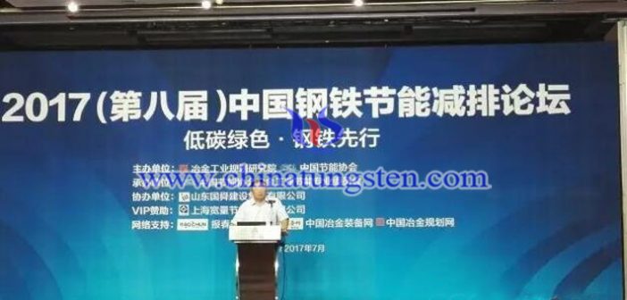 中國(guó)鋼鐵工業(yè)環(huán)保兩極分化現(xiàn)象亟待解決 2017(第八屆)中國(guó)鋼鐵節(jié)能減排論壇圖片