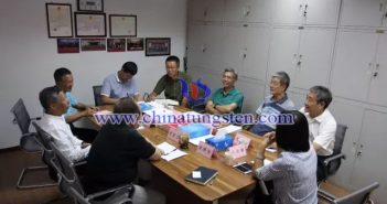 國土資源部諮詢研究中心諮詢委員王平一行到鎢協(xié)調(diào)研
