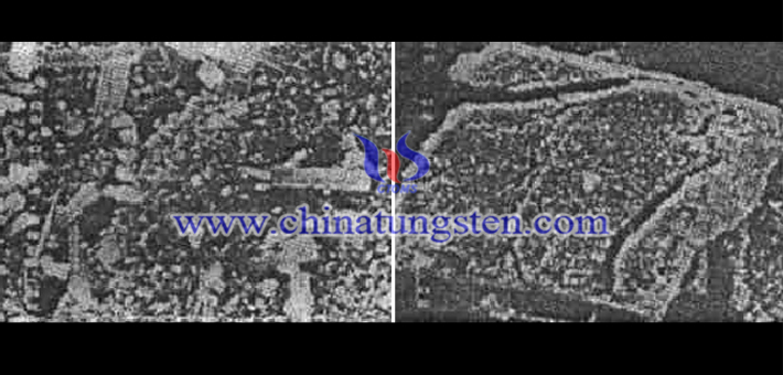 左為β-氧化鎢和γ-氧化鎢共存的顆粒形貌圖×10000，右為γ-氧化鎢的顆粒形貌圖