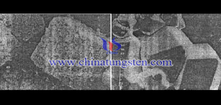 左圖為二氧化鎢的顆粒形貌圖（×1000），右圖為鎢粉的顆粒形貌（×3000）