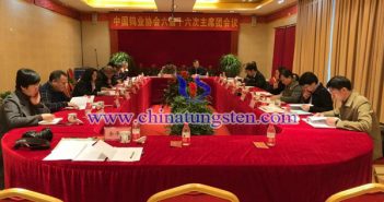 中國鎢業(yè)協(xié)會召開六屆十六次主席團會議 中國鎢業(yè)協(xié)會召開六屆十六次主席團會議