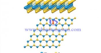 二硫化鎢的應(yīng)用 二硫化鎢分子式圖片