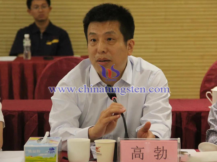 中國(guó)鎢業(yè)協(xié)會(huì)主席團(tuán)主席、中鎢高新材料股份有限公司副總經(jīng)理高勃