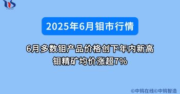6月鉬價如何