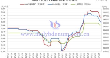 2025年1-6月中國鉬製品價格走勢