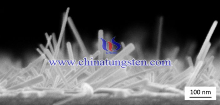 Nano Tungsten Trioxide SEM image of tungsten trioxide nanowire