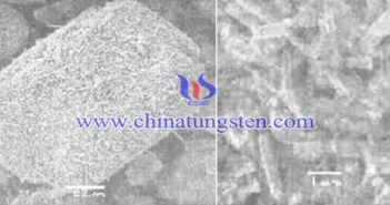 95% Fine Grain Size Violet Tungsten Oxide VTO SEM picture