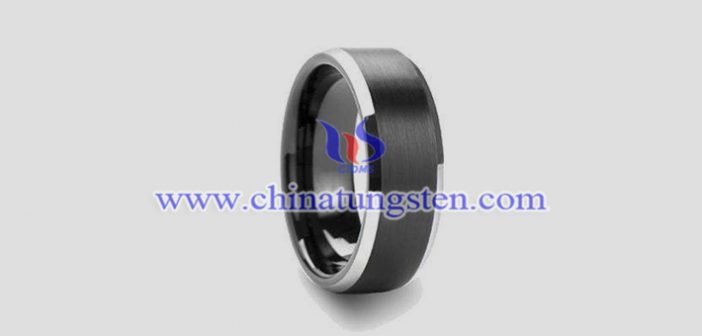 Tungsten Alloy Championship Ring 鎢合金冠軍戒指圖片