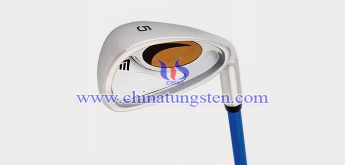 Snake Eyes Golf Tungsten Alloy Weight snake eyes golf tungsten alloy weight picture