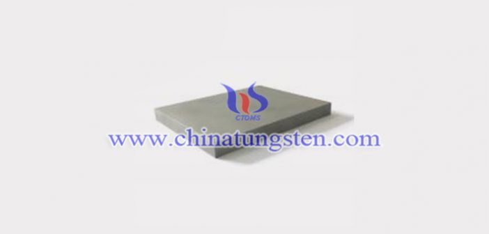 W231 Tungsten Alloy Block W231 tungsten alloy block picture