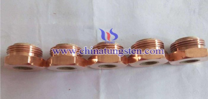 Tungsten Copper Nut Electrode Tungsten Copper Nut Electrode Picture