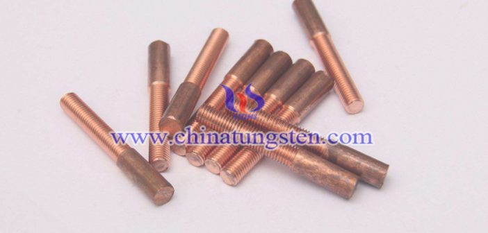 Copper Tungsten Thread Tapping Electrode Copper Tungsten Thread Tapping Electrode Picture