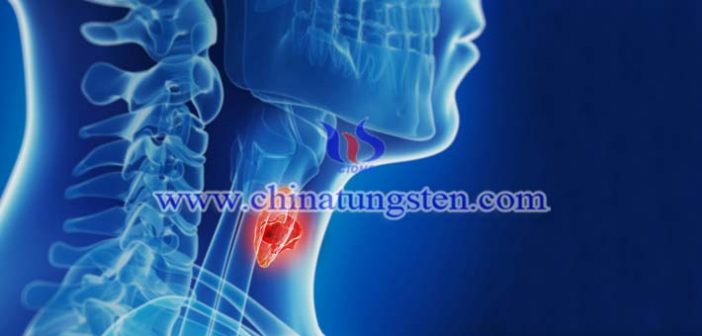 Cs-137 Tungsten Alloy Shield Cs-137 tungsten alloy shield picture