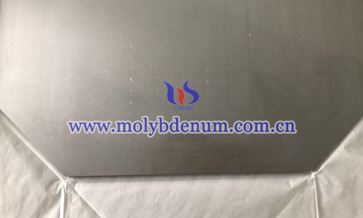 TZM plate image