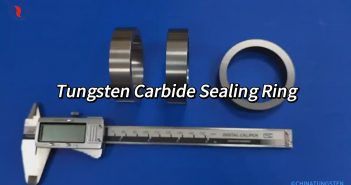 Know Tungsten – Tungsten Carbide Sealing Ring
