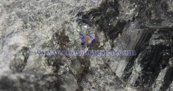 Tungsten: An Overlooked Micronutrient for Human Health tungsten ore image