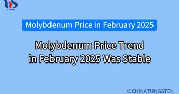 Molybdenum Price Trend in February 2025 Was Stable molybdenum price trend in february 2025 was stable