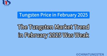 The Tungsten Market Trend in February 2025 Was Weak the tungsten market trend in february 2025 was weak