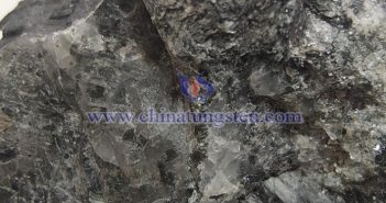 Discovery of Large-scale Tungsten-Molybdenum Ore Bodies in Bobai County, Yulin, Guangxi tungsten ore image