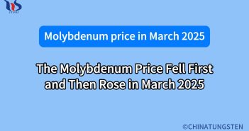 The Molybdenum Price Fell First and Then Rose in March 2025 what is the market for molybdenum in march 2025