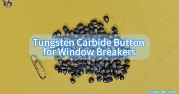 Tungsten Carbide Button for Window Breakers Tungsten Carbide Button for Window Breakers