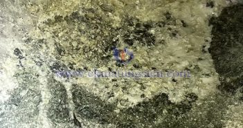 Average Price of White Tungsten Concentrate in Hubei Increased in June 2025 Image of Tungsten Concentrate