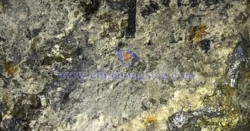 Jiangxi Wuning Caotougang Submits 60,000 Tons of Tungsten Resources Tungsten Concentrate Images