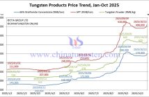 Tungsten and Cobalt Prices Remain Strong – October 22, 2025 Tungsten Price Trend from January to October 22, 2025