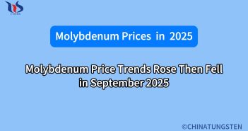 Molybdenum Price Trends Rose Then Fell in September 2025 what will the molybdenum market look like in september 2025