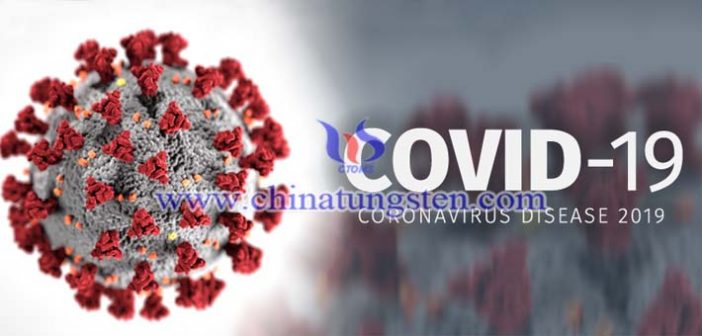 CTタングステン合金コリメータ CTタングステン合金コリメータ畫像