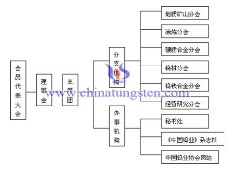 鎢協(xié)組織機(jī)構(gòu)