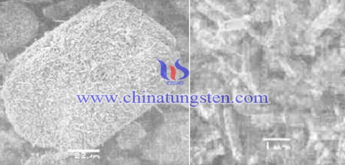 95%細(xì)顆粒紫鎢 紫鎢SEM圖片
