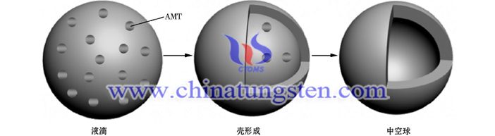 中空偏鎢酸銨球 中空偏鎢酸銨球形成示意圖片