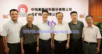 中國鎢協(xié)丁學(xué)全會長到中鎢高新調(diào)研指導(dǎo)工作 中國鎢協(xié)丁學(xué)全會長到中鎢高新調(diào)研指導(dǎo)工作