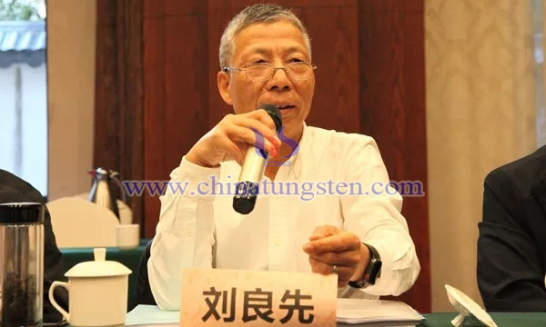 中國(guó)鎢業(yè)協(xié)會(huì)副會(huì)長(zhǎng)兼秘書長(zhǎng)劉良先講話