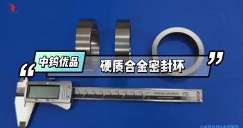 中鎢優(yōu)品 – 硬質(zhì)合金密封環(huán)