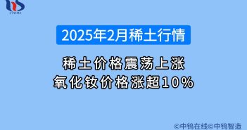 2025年2月稀土行情如何