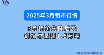 2025年3月鉬市行情如何