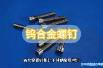 中鎢優(yōu)品:鎢合金螺釘 鎢合金螺釘圖片